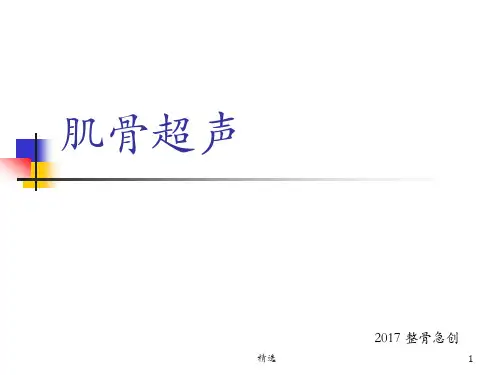 肌骨超声演示课件.pptx