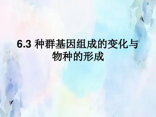 人教版生物《种群基因组成的变化与物种的形成》课件ppt1