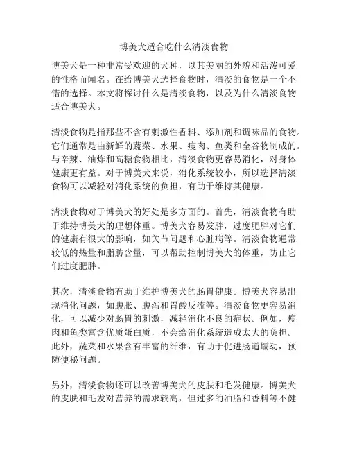 博美犬适合吃什么清淡食物