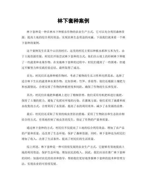 林下套种案例