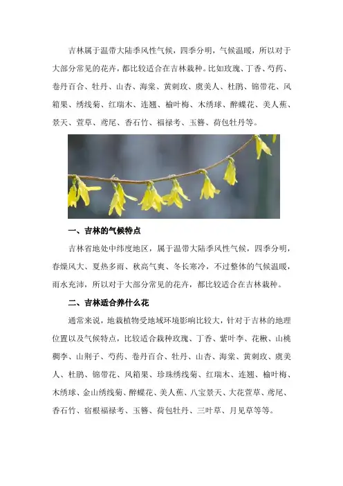 吉林适合养什么花,市花和市树是什么