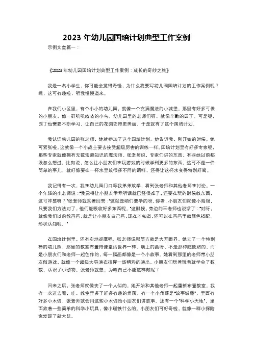 2023年幼儿园国培计划典型工作案例
