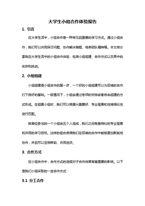 大学生小组合作体验报告