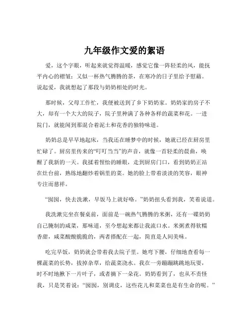 九年级作文爱的絮语