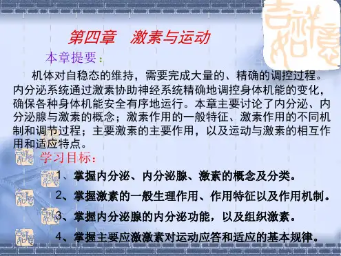 第四章运动与激素