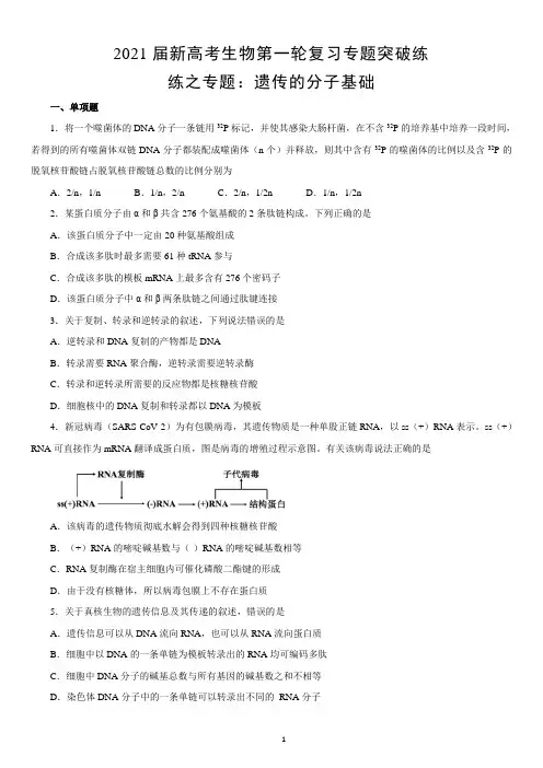 新高考生物第一轮复习专题突破练 遗传的分子基础(含答案)