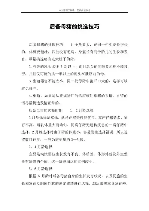 后备母猪的挑选技巧