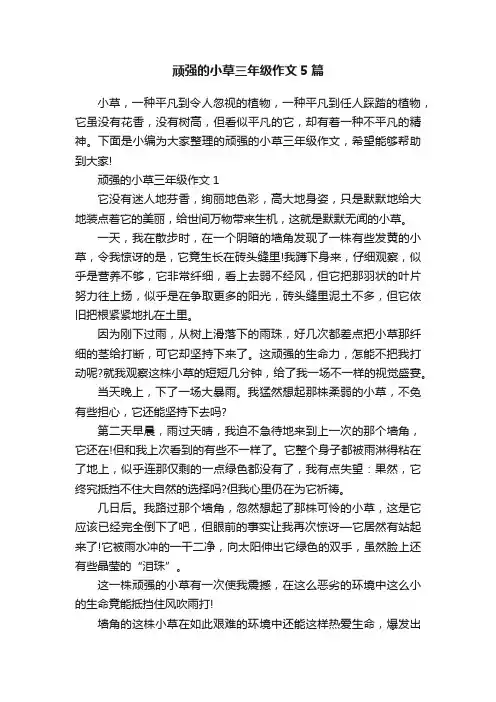 顽强的小草三年级作文5篇