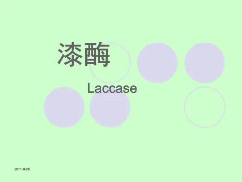 漆酶