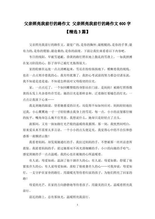 精选父亲照亮我前行的路作文 父亲照亮我前行的路作文600字【3篇】