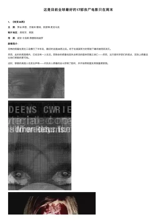 这是目前全球最好的17部丧尸电影只在周末