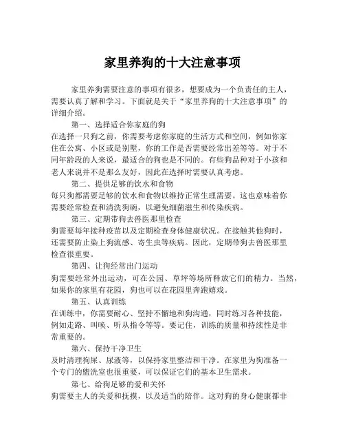 家里养狗的十大注意事项