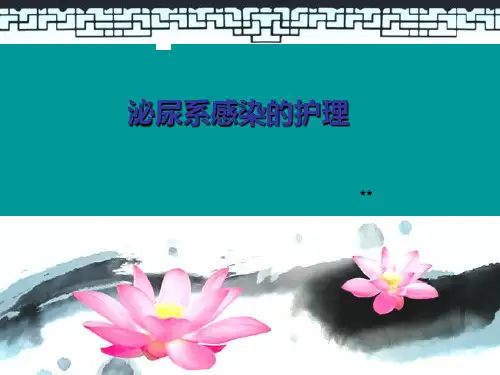 泌尿系感染的护理