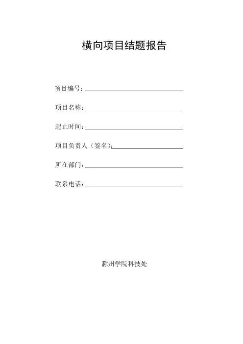 横向项目结题报告