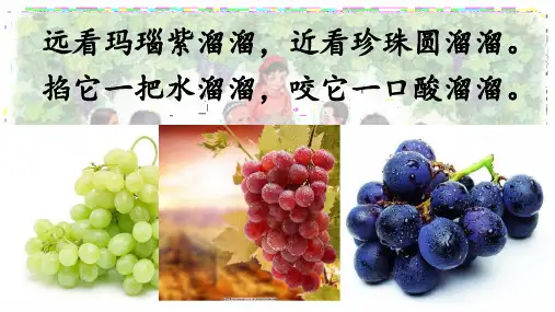 统编版二年级语文上册11 葡萄沟 (课件)(共37张PPT)
