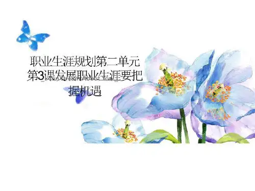 职业生涯规划第二单元第3课发展职业生涯要乎把握机遇