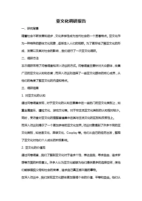 亚文化调研报告