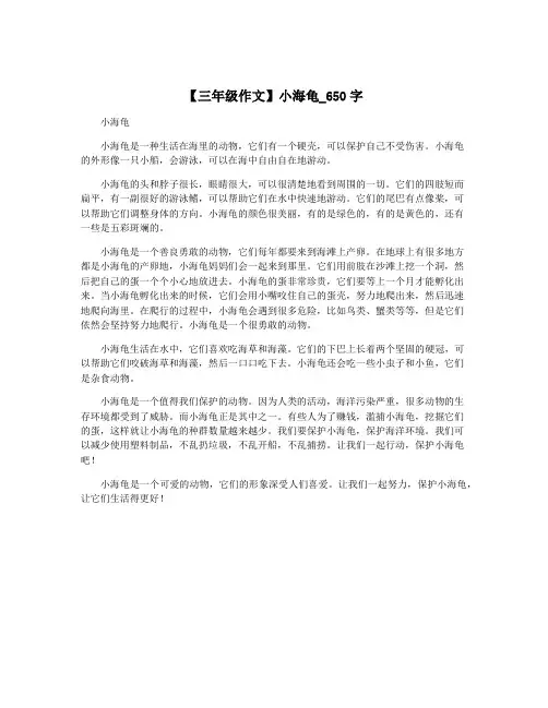 【三年级作文】小海龟_650字