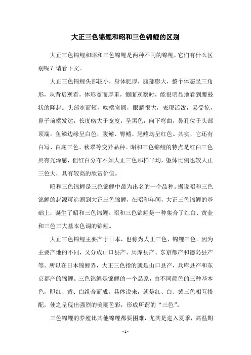 大正三色锦鲤和昭和三色锦鲤的区别