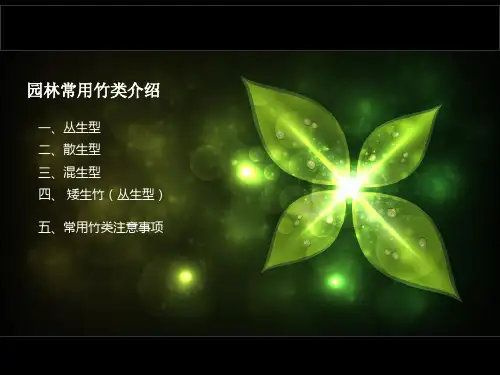 园林常用竹类介绍