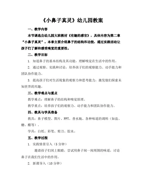 《小鼻子真灵》幼儿园教案