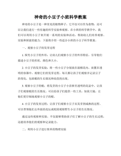 神奇的小豆子小班科学教案
