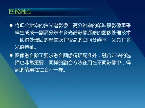 遥感图像处理基础课件.pptx