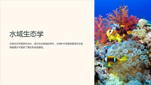 《水域生态学》课件