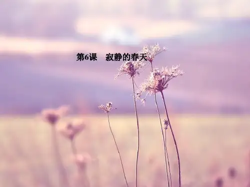 寂静的春天PPT教学课件