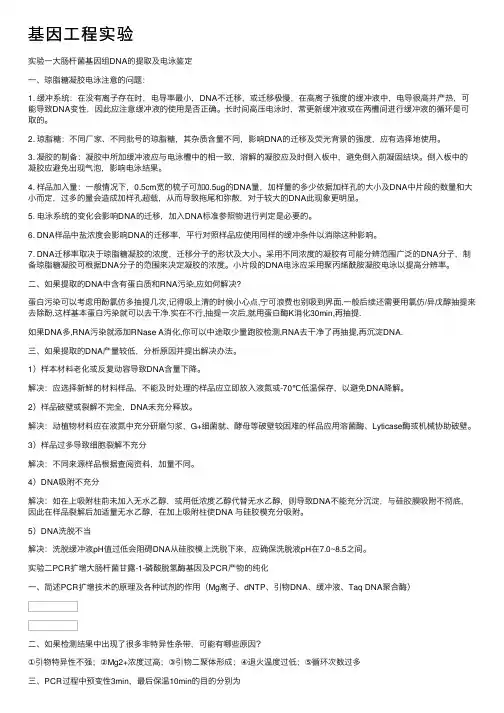 基因工程实验