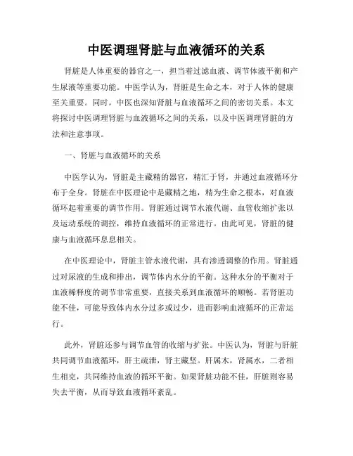 中医调理肾脏与血液循环的关系