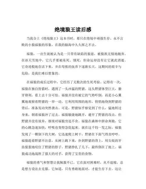 绝境狼王读后感