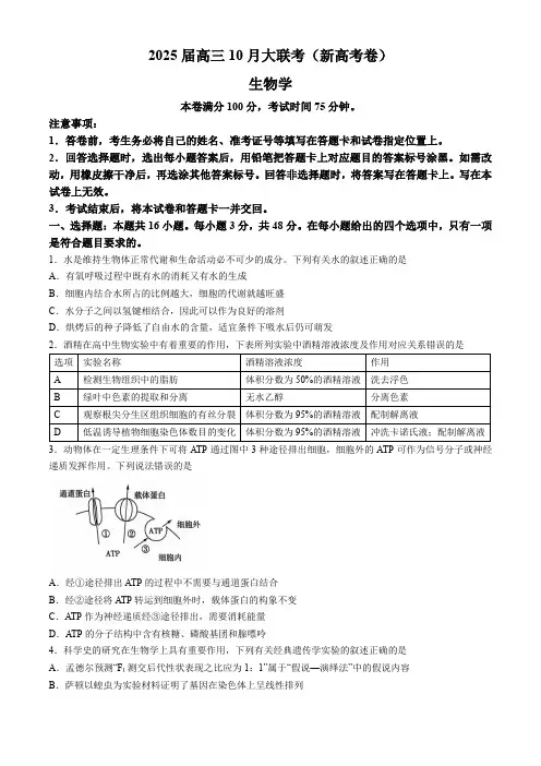云南省德宏傣族景颇族自治州民族第一中学20242025学年高三上学期10月月考生物试题(无答案)