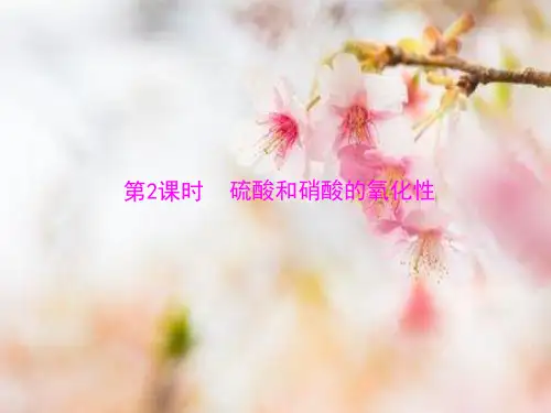 硫酸和硝酸的氧化性PPT精品课件