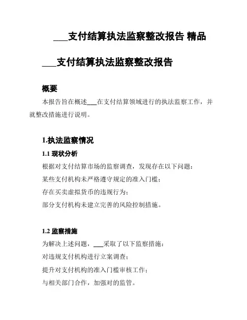 ___支付结算执法监察整改报告 精品