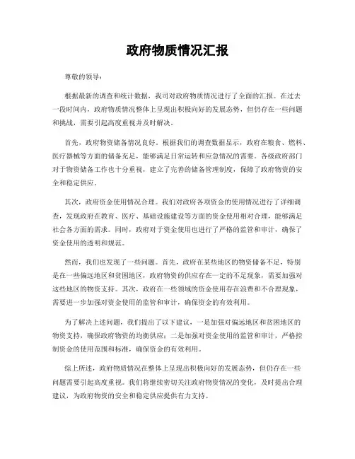 政府物质情况汇报