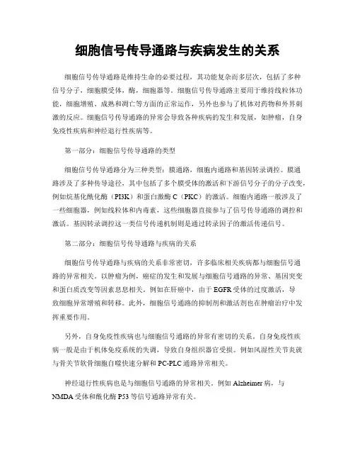 细胞信号传导通路与疾病发生的关系