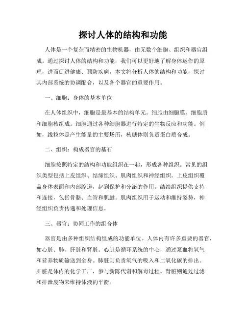 探讨人体的结构和功能