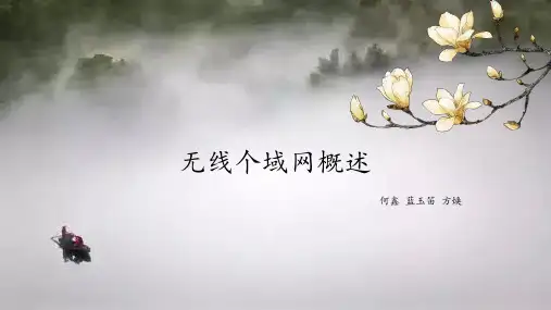 无线个域网概述
