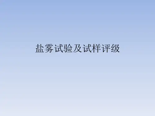 盐雾试验及试样评级