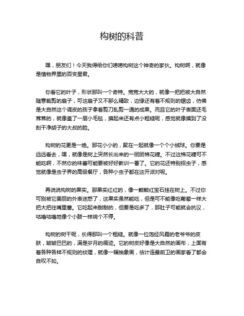 构树的科普