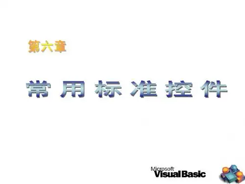 第6章常用标准控件