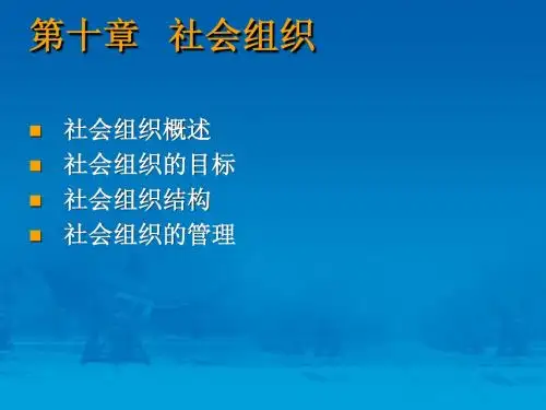 社会学概论课件 第十章   社会组织