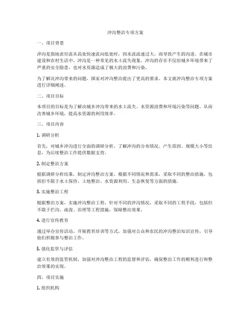冲沟整治专项方案