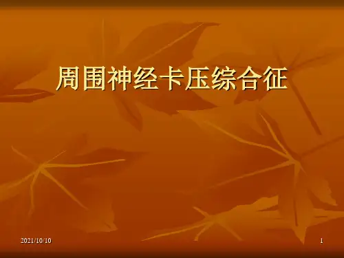 周围神经卡压综合征【优质PPT】