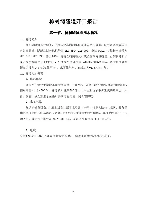柿树湾隧道开工报告