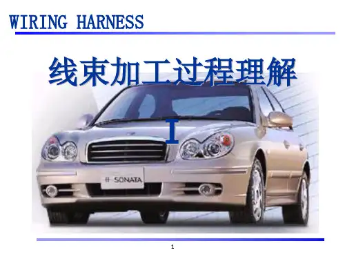 汽车电线束简介