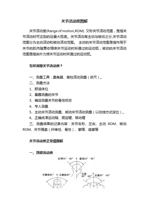 关节活动度图解