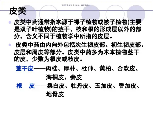 常用中药饮片辨识皮类