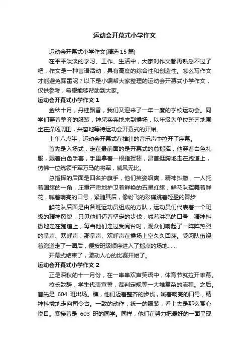 运动会开幕式小学作文（精选15篇）